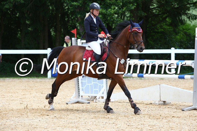 006M7259_Spring L_Tacona_U.JPG